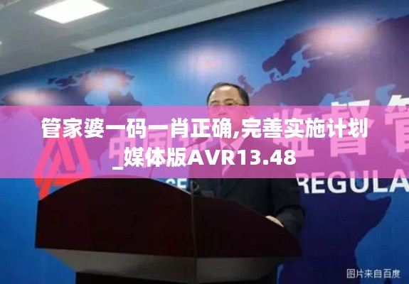 管家婆一码一肖正确,完善实施计划_媒体版AVR13.48