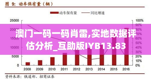 澳门一码一码肖雷,实地数据评估分析_互助版IYB13.83