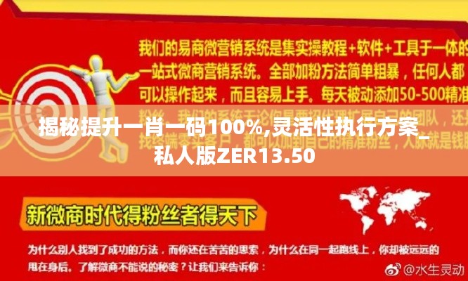 揭秘提升一肖一码100%,灵活性执行方案_私人版ZER13.50