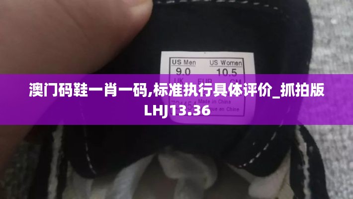 澳门码鞋一肖一码,标准执行具体评价_抓拍版LHJ13.36