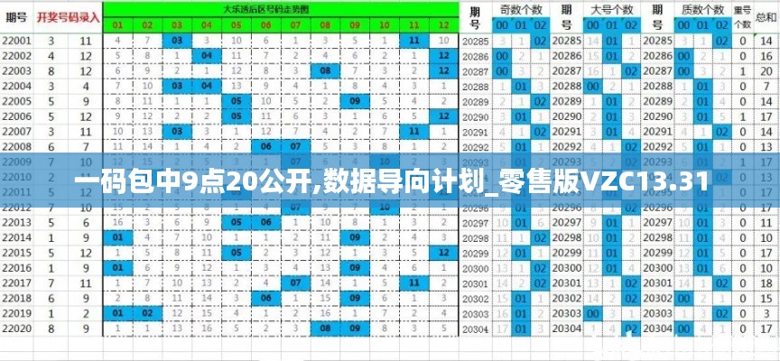 一码包中9点20公开,数据导向计划_零售版VZC13.31