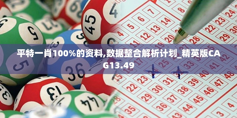 平特一肖100%的资料,数据整合解析计划_精英版CAG13.49