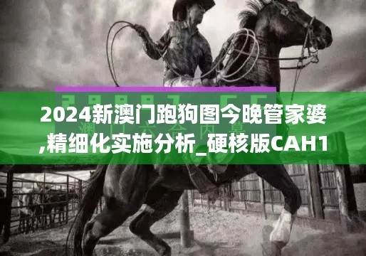 2024新澳门跑狗图今晚管家婆,精细化实施分析_硬核版CAH13.33