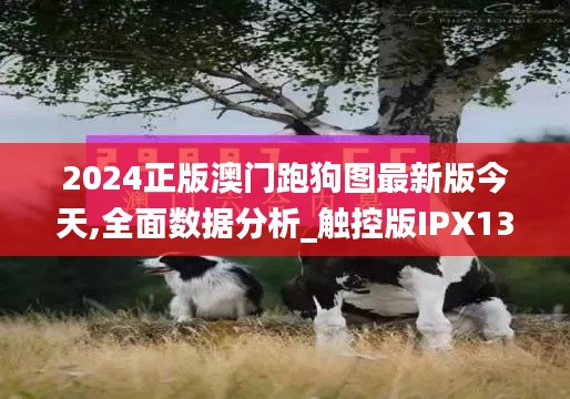 2024正版澳门跑狗图最新版今天,全面数据分析_触控版IPX13.57