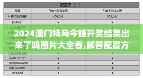 2024澳门特马今晚开奖结果出来了吗图片大全香,解答配置方案_效率版WGD13.16