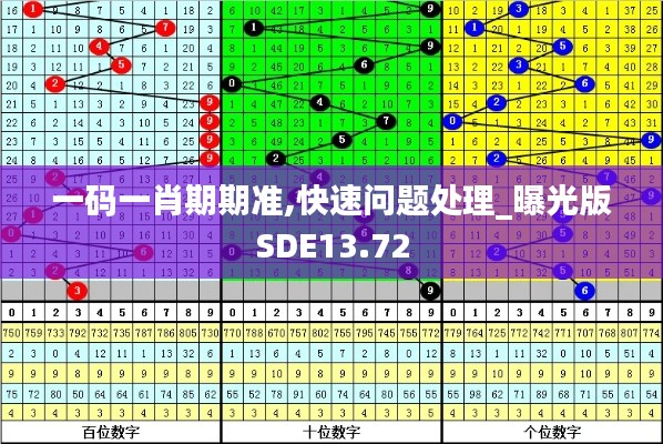 一码一肖期期准,快速问题处理_曝光版SDE13.72