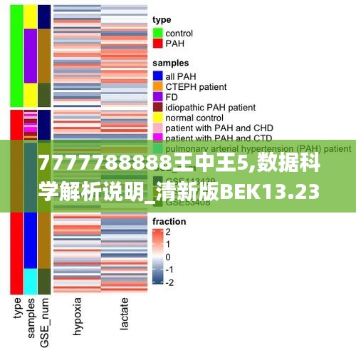 7777788888王中王5,数据科学解析说明_清新版BEK13.23