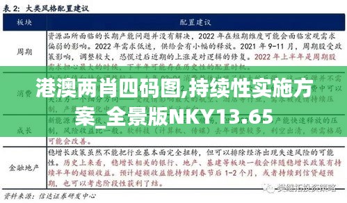 港澳两肖四码图,持续性实施方案_全景版NKY13.65