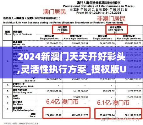 2024新澳门天天开好彩头,灵活性执行方案_授权版UDI13.98