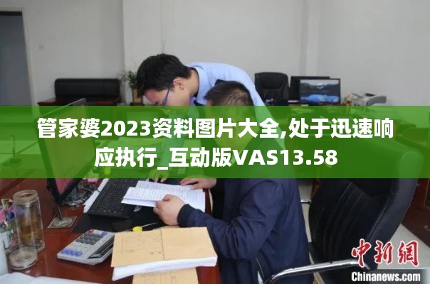 管家婆2023资料图片大全,处于迅速响应执行_互动版VAS13.58