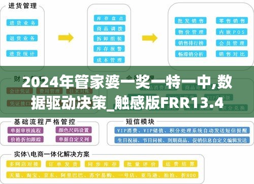 2024年管家婆一奖一特一中,数据驱动决策_触感版FRR13.4