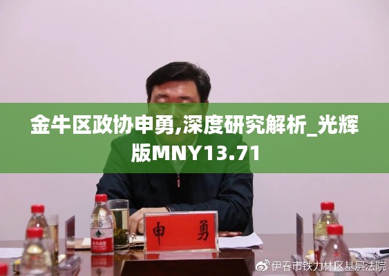 金牛区政协申勇,深度研究解析_光辉版MNY13.71