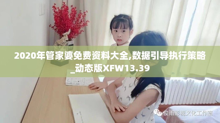 2020年管家婆免费资料大全,数据引导执行策略_动态版XFW13.39