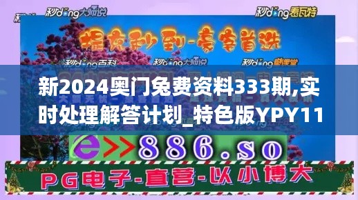 新2024奥门兔费资料333期,实时处理解答计划_特色版YPY11.69