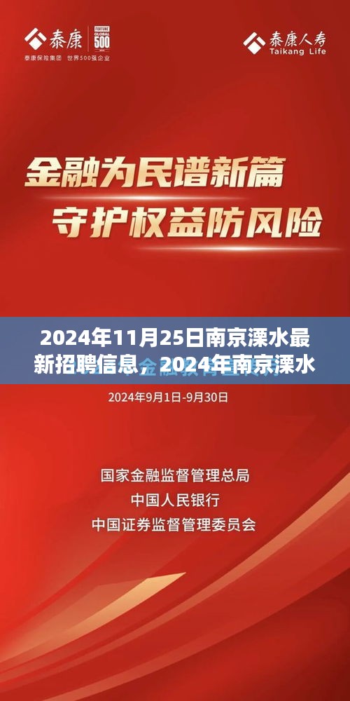 南京溧水最新招聘信息全景解析（2024年11月25日）