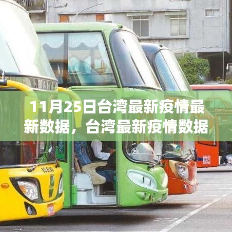 台湾疫情防控深度报告，最新数据解析与现状评测（11月25日更新）