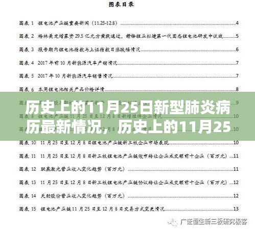 历史上的11月25日新型肺炎疫情最新动态，病例解析与应对指南