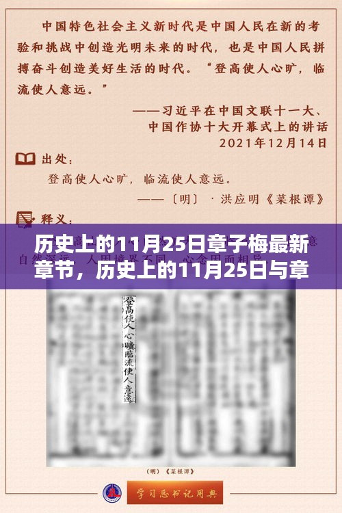 探寻文学世界的秘密，历史上的11月25日与章子梅最新章节回顾