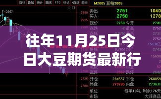 往年11月25日大豆期货行情概览及获取方式——初学者与进阶用户指南