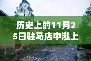 时光印记下的辉煌篇章，驻马店中泓上林居的历史变迁与最新动态（11月25日篇）