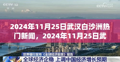 揭秘武汉白沙洲区域发展新动向，热门新闻一览（2024年11月25日）