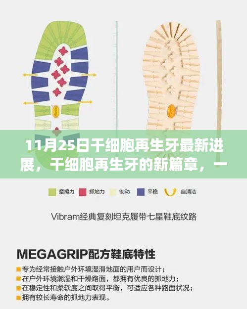 干细胞再生牙最新进展，开启新篇章，家庭故事传递爱与陪伴的力量