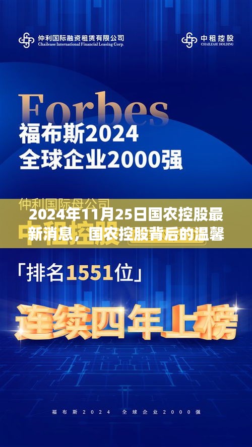 国农控股背后的故事，特别日子的珍贵友情与最新消息（2024年11月25日）