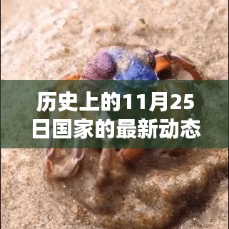 杳无音讯 第3页