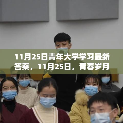 青春岁月里的知识盛宴与温暖友情，青年大学学习最新答案（11月25日）