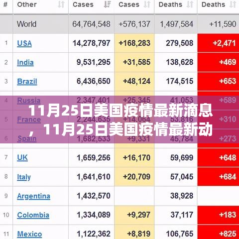 美国疫情最新动态，滴息之后的挑战与希望（11月25日报道）