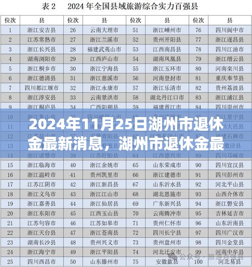 湖州市退休金最新消息解读与获取指南（2024年11月版）