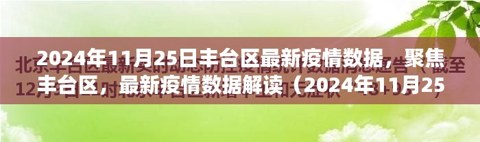 丰台区最新疫情数据解读，聚焦疫情动态（2024年11月25日）