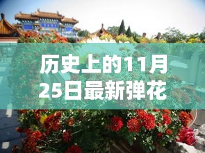 探寻历史上的弹花日，探寻11月25日的独特印记与影响