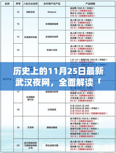 历史上的11月25日最新武汉夜网深度解析，特性、体验、竞品对比及用户群体全面剖析