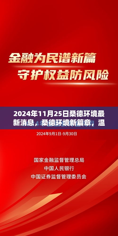 桑德环境新篇章，2024年11月25日最新消息与日常温馨回顾