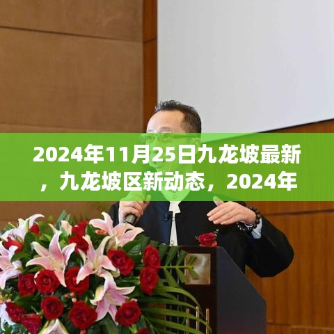 2024年11月25日九龙坡区新动态深度解读