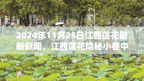 江西莲花隐秘小巷的美食探秘，味觉奇遇，最新探秘报道（2024年11月25日）