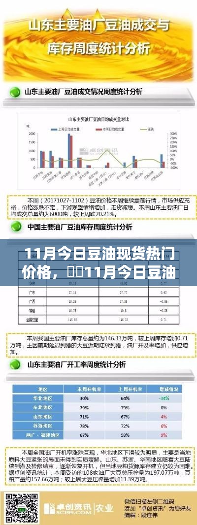 11月豆油现货热门价格详解，全面评测与介绍