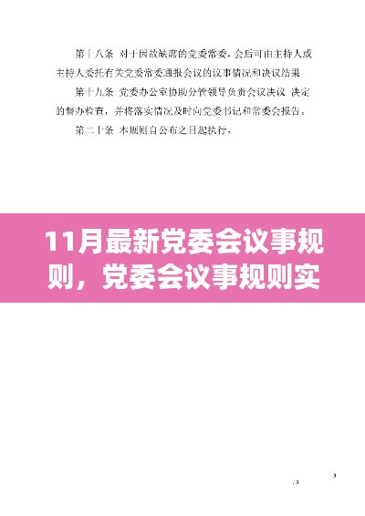 党委会议事规则实操指南，从初学者到进阶用户的全面指南（最新版）