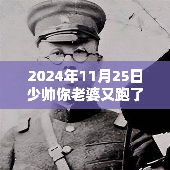 少帅你老婆又跑了最新章节速递，2024年11月25日热门小说更新标题