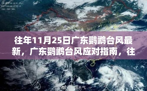 广东鹦鹉台风最新动态与应对策略指南，往年11月25日台风信息及应对方法总结