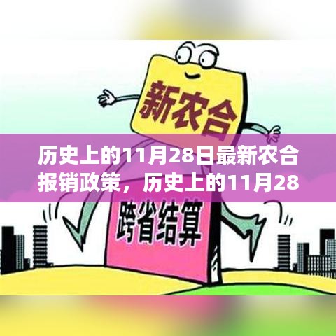 历史上的11月28日，最新农合报销政策解读与观点碰撞