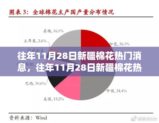 往年11月28日新疆棉花焦点解析，特性、体验、竞品对比及用户群体深度探讨