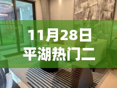 平湖二手房市场热议，聚焦机遇与挑战的房源解析（11月28日）