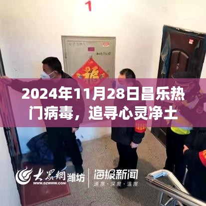 2024年11月28日昌乐热门病毒，追寻心灵净土，一场由昌乐热门病毒引领的自然探索之旅