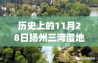 历史上的11月28日扬州三湾湿地公园，演变与启示