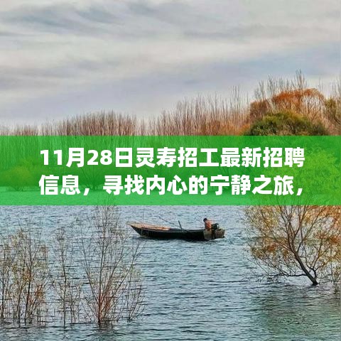 11月28日灵寿最新招聘信息，探寻自然美景中的职业宁静之旅