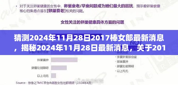 揭秘2024年棒女郎最新动态与用户体验报告，深度解析与最新消息发布日预测