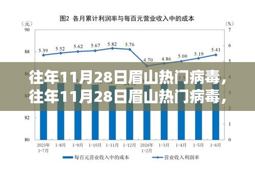 眉山热门病毒揭秘，全面评测与深度解析（往年11月28日热点）