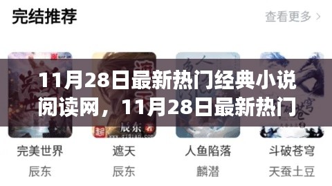 11月28日最新热门经典小说阅读网站深度解析，读者视角的优缺点探讨